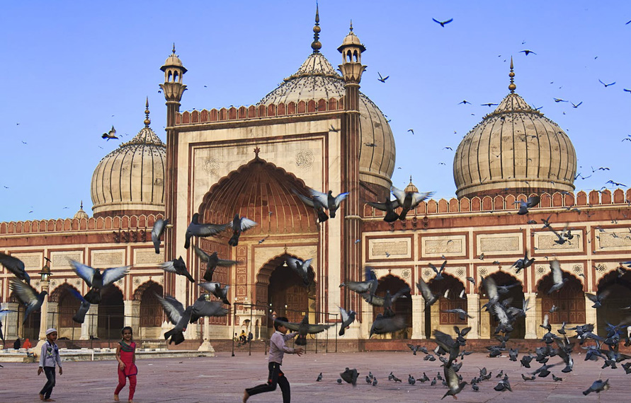 Delhi Full Day Sightseeing Tour